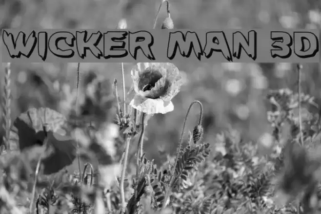 Wicker Man 3D Font examples
