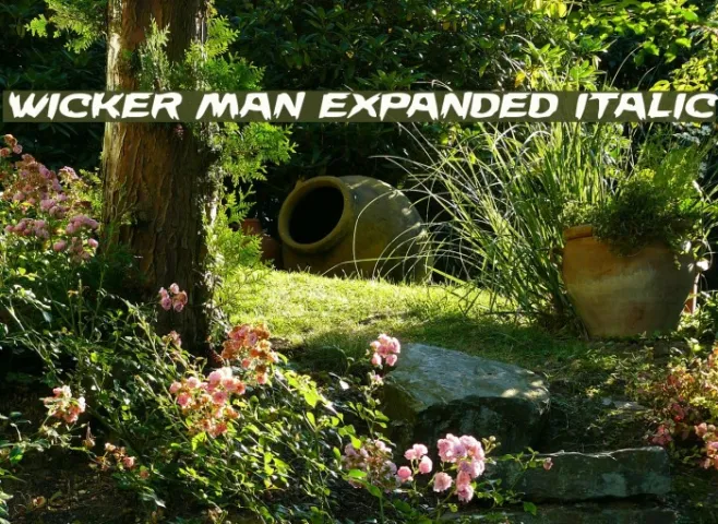 Wicker Man Expanded Italic Example 1