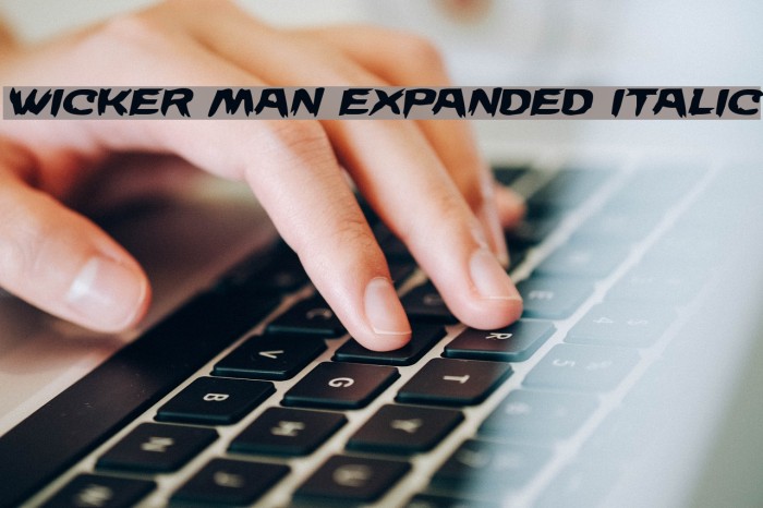 Wicker Man Expanded Italic Font examples