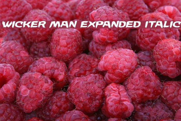 Wicker Man Expanded Italic Font examples