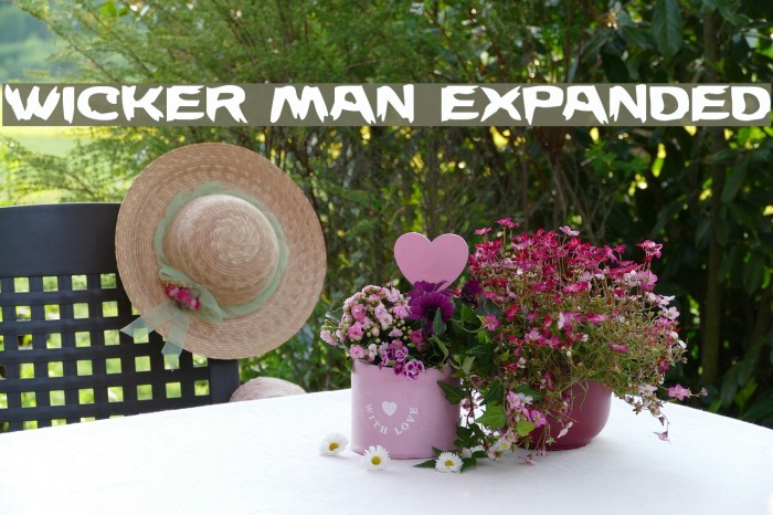 Wicker Man Expanded Example 3