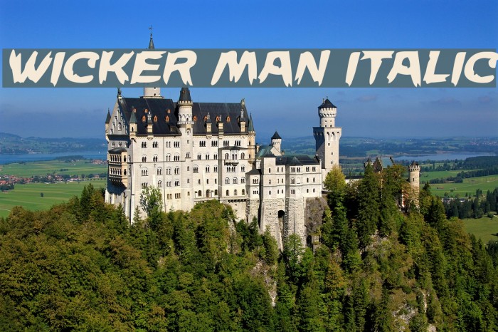 Wicker Man Italic Font examples