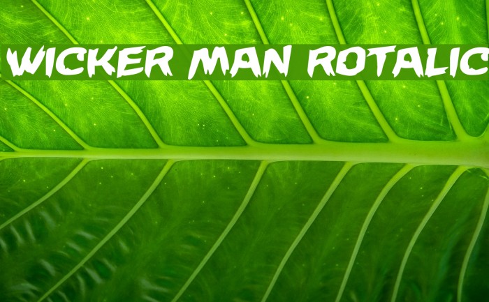 Wicker Man Rotalic Font examples