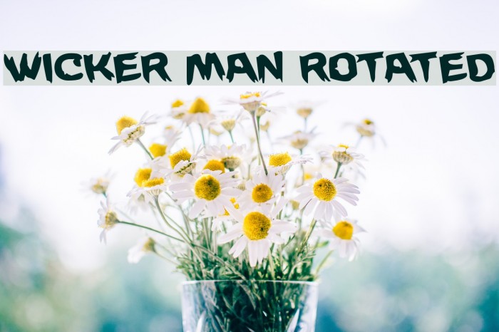 Wicker Man Rotated Font examples