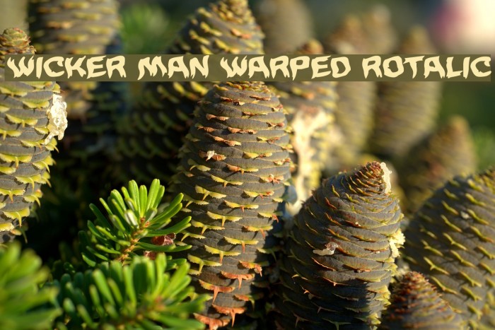 Wicker Man Warped Rotalic Example 3