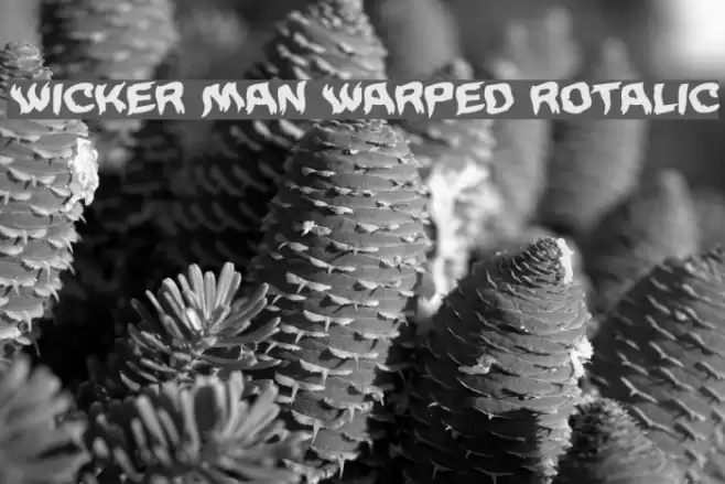 Wicker Man Warped Rotalic Font examples