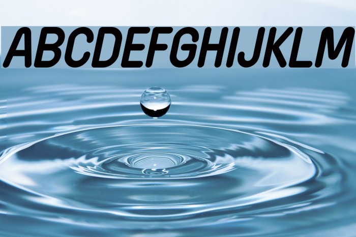 Wida Round Demo Bold Italic Font examples
