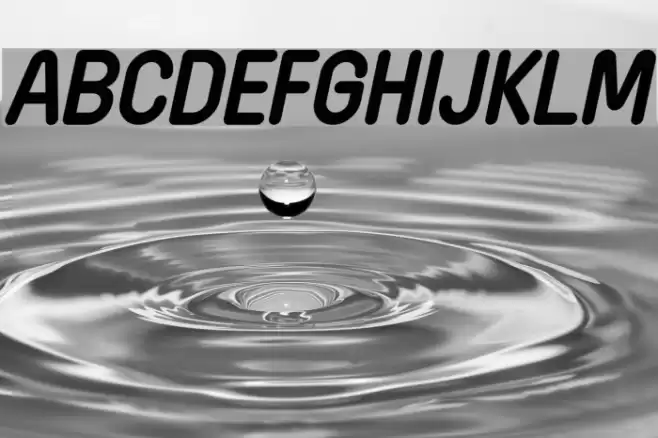 Wida Round Demo Bold Italic Fuentes examples