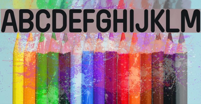 Wida Round Demo Bold Font examples