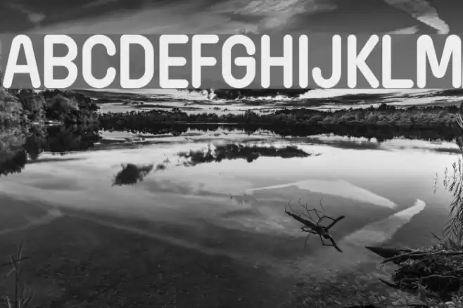 Wida Round Demo Bold Font examples