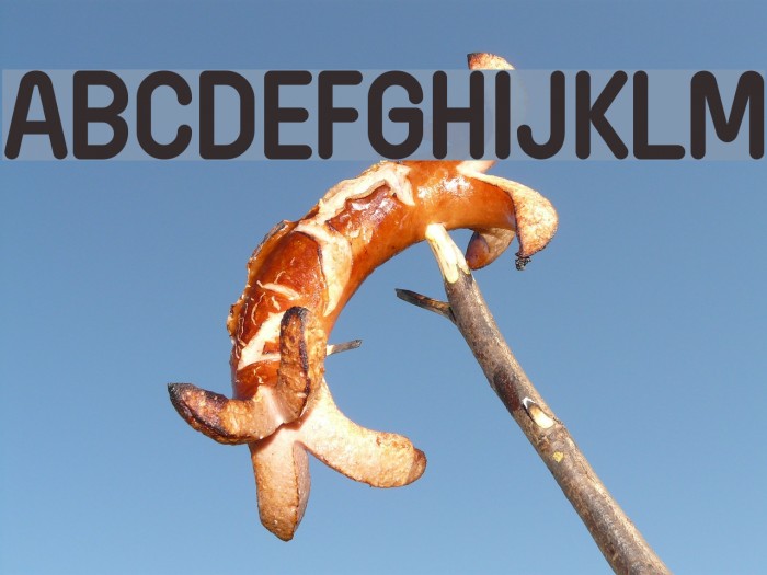 Wida Round Demo Bold Font examples