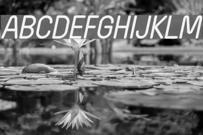 Wida Round Italic Font examples