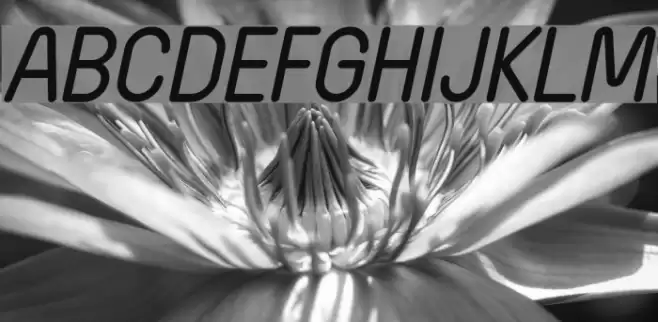 Wida Round Italic Font examples