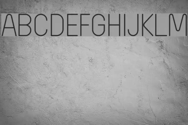 Wida Round Light Demo Polices examples