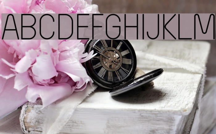 Wida Round Light Demo Font examples