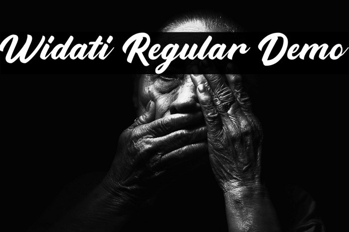 Widati Regular Demo Example 1
