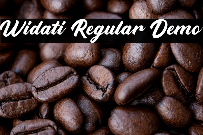 Widati Regular Demo Example 3