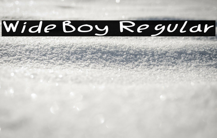 Wide Boy - Regular Font examples