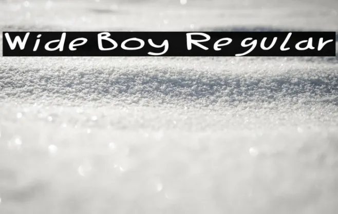 Wide Boy - Regular Example 1