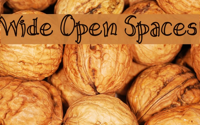 Wide Open Spaces Font examples