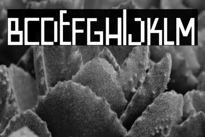 Wide Square Шрифта examples