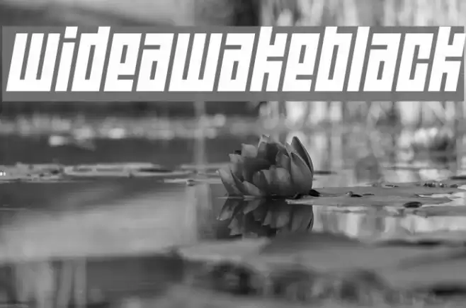 Wide awake Black Font examples