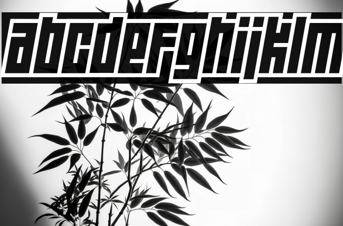 Wide awake Example 3