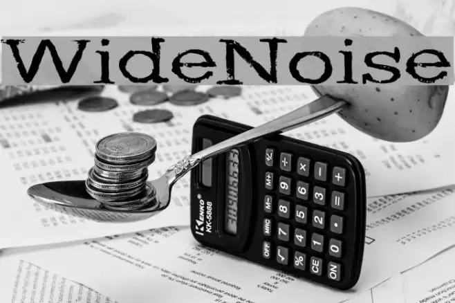 WideNoise Font examples