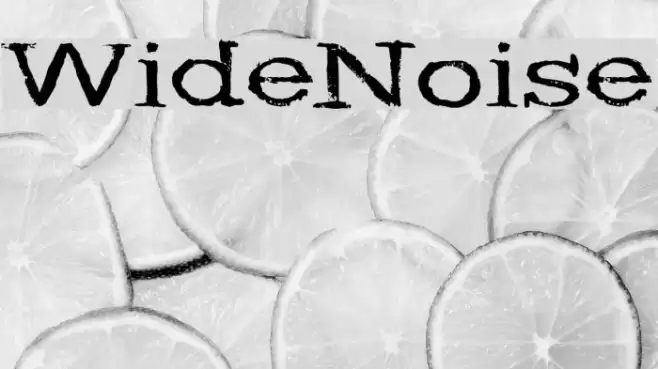 WideNoise Font examples