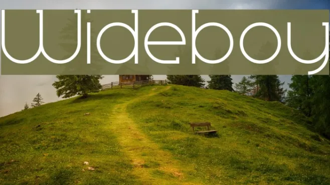 Wideboy Example 1