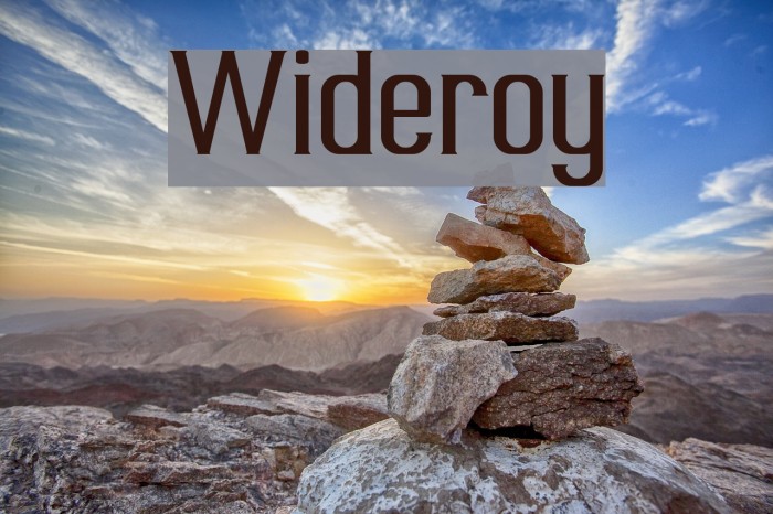 Wideroy Font examples