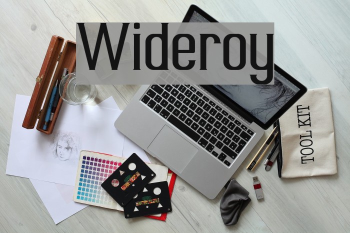 Wideroy Font examples