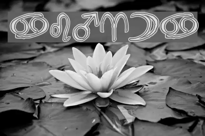 Widget ExtraBold Font examples