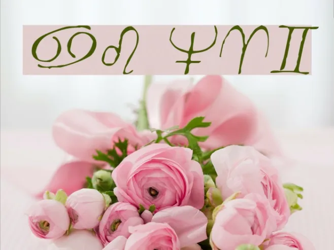 Widget Italic Example 2