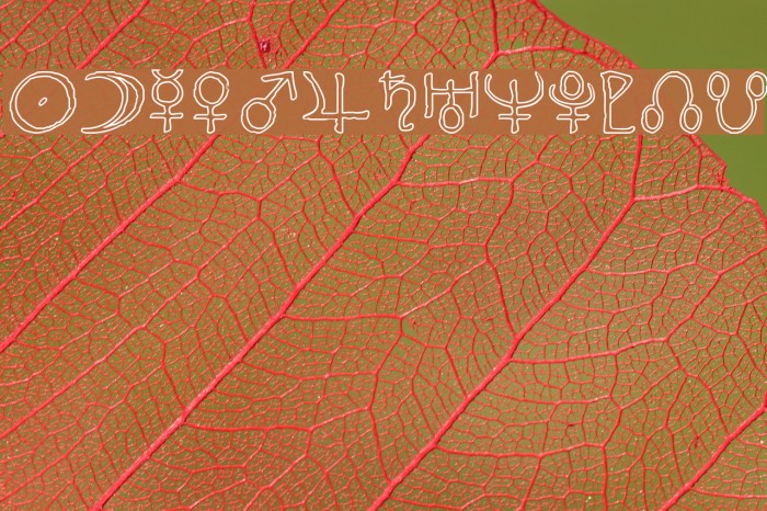 Widget Outline Font examples