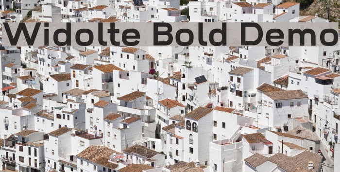 Widolte Bold Demo Font examples