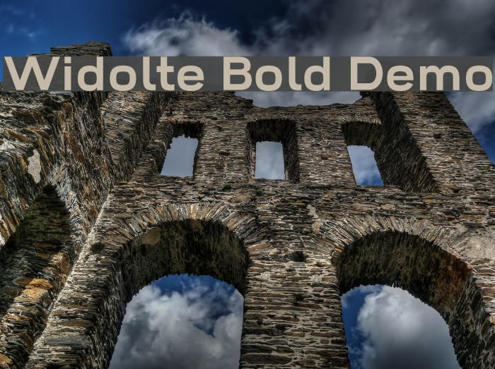 Widolte Bold Demo Font examples