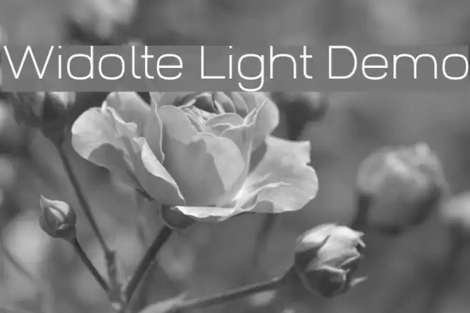 Widolte Light Demo Font examples