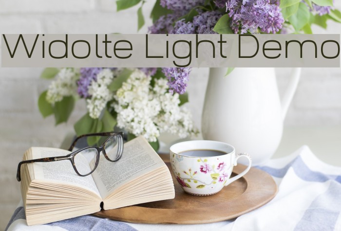 Widolte Light Demo Font examples