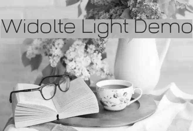 Widolte Light Demo Font examples