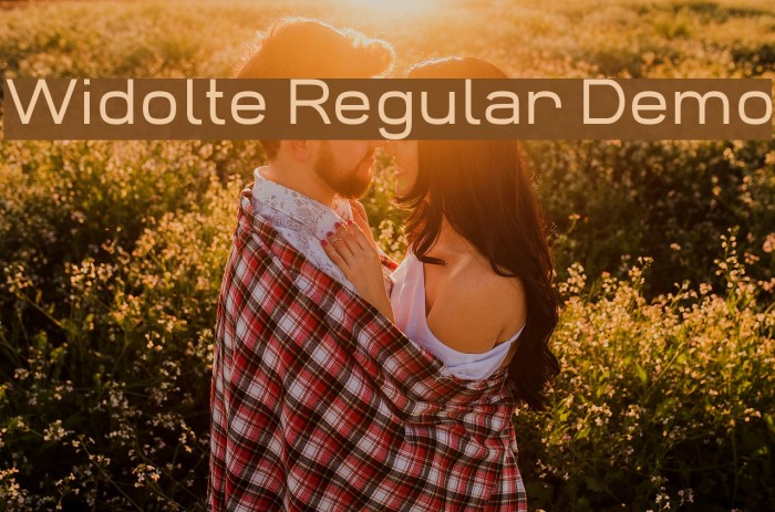 Widolte Regular Demo Font examples