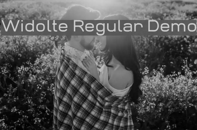 Widolte Regular Demo Font examples