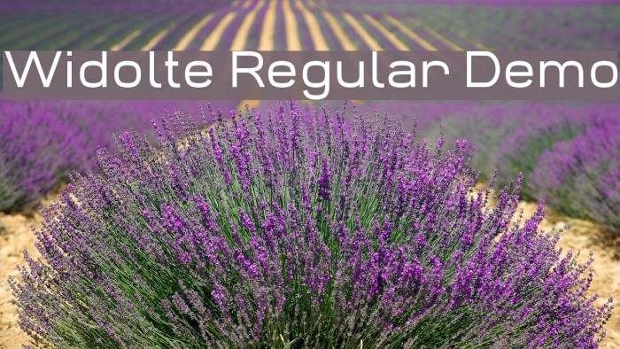 Widolte Regular Demo Font examples