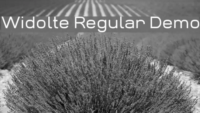 Widolte Regular Demo Font examples