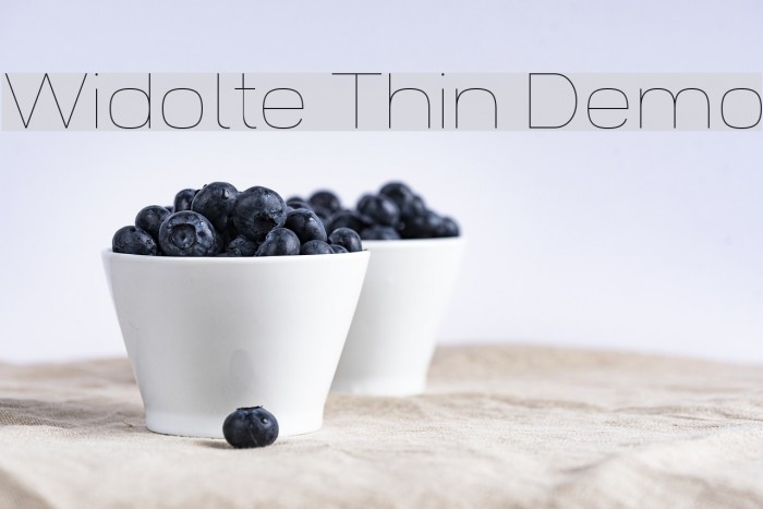 Widolte Thin Demo Font examples