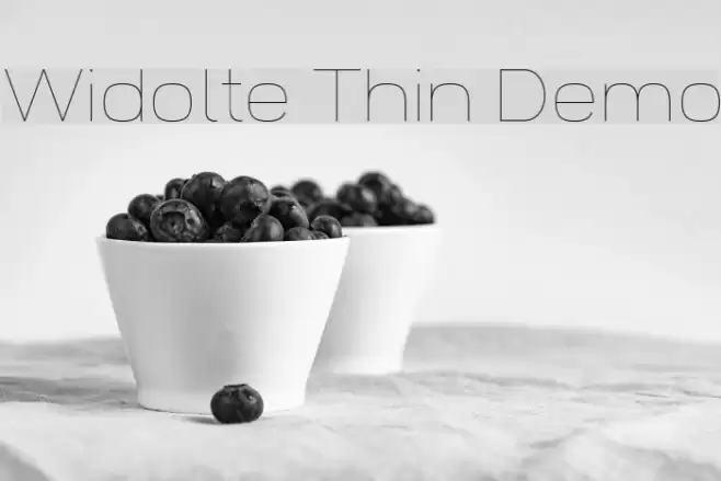 Widolte Thin Demo Font examples