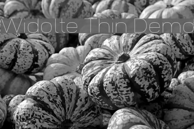 Widolte Thin Demo Font examples
