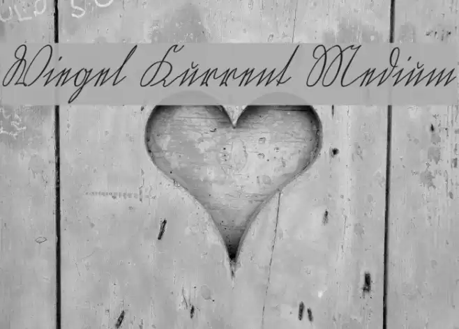 Wiegel Kurrent Medium Font examples