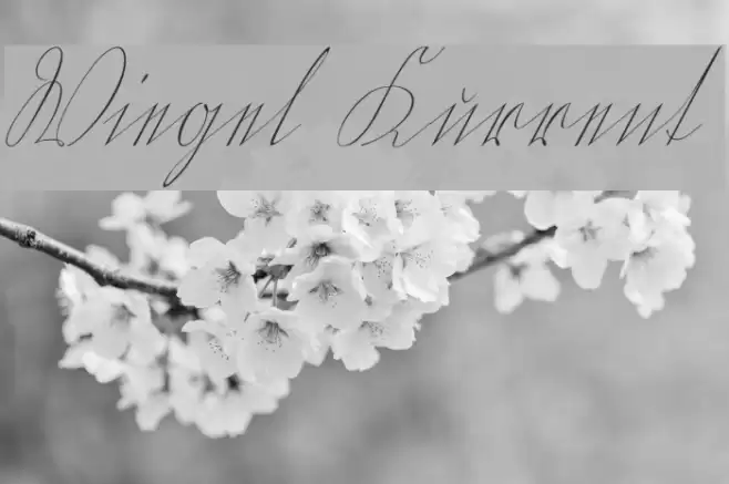 Wiegel Kurrent Font examples