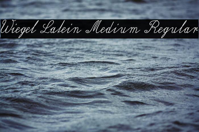 Wiegel Latein Medium Regular Font examples